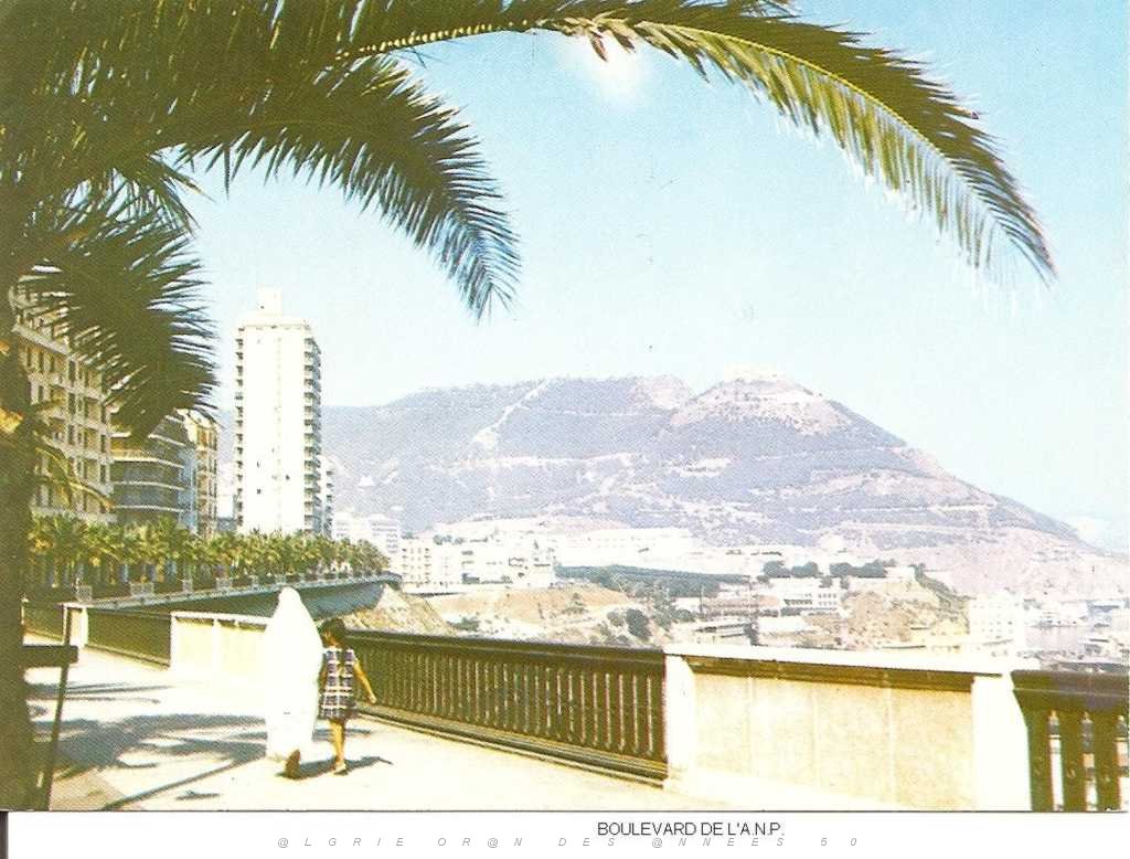 ORAN 012 LE FRONT DE MER 03.JPG